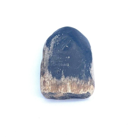 Petrified Wood From Indonesia 2.5" - Picture 6 of 12